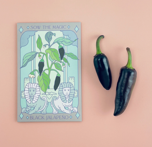 Black Hungarian Jalapeño Tarot Garden + Gift Seed Packet