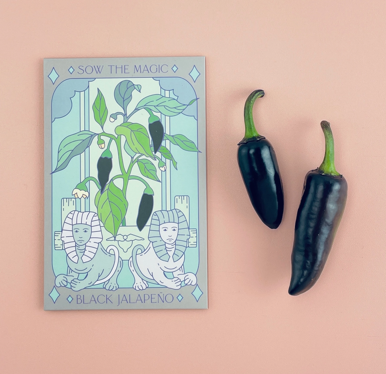 Black Hungarian Jalapeño Tarot Garden + Gift Seed Packet