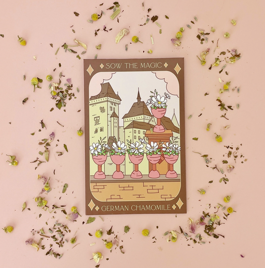 German Chamomile Tarot Garden + Gift Seed Packet